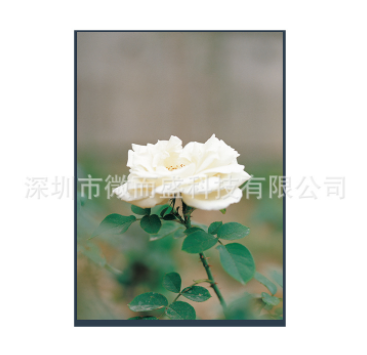 LCD液晶屏如何更好的存儲(chǔ)與使用？