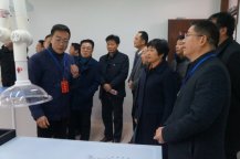 市人大代表考察我市經濟社會發展情況